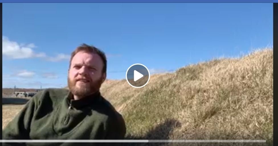 Seinasti sálfræðimolinn