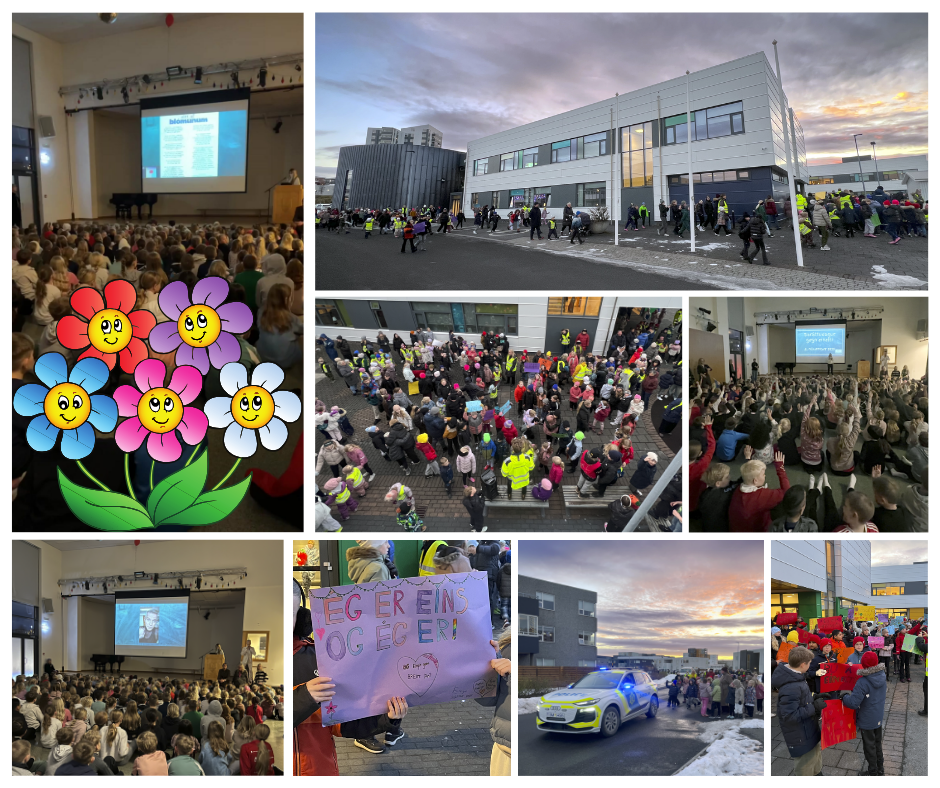 Virkilega vel heppnuð vináttuganga 🌺