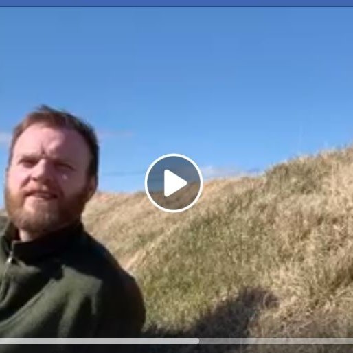 Seinasti sálfræðimolinn