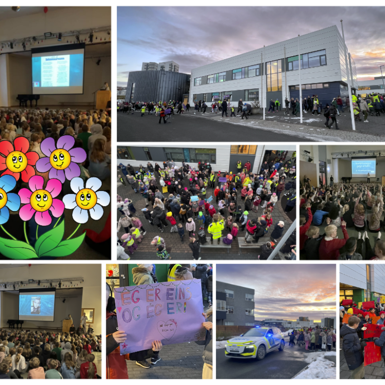 Virkilega vel heppnuð vináttuganga 🌺