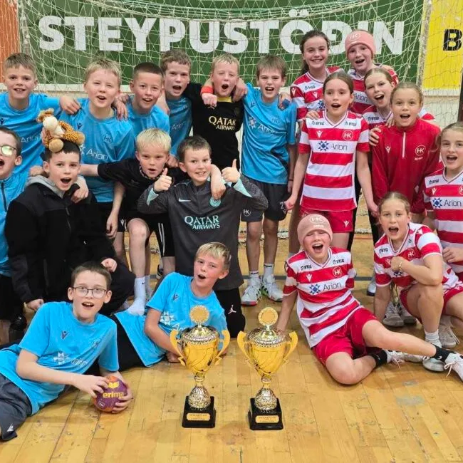 Góður árangur á skólamóti HSÍ